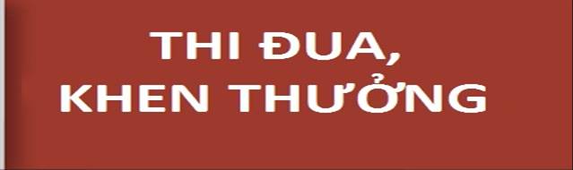 Mẫu báo cáo thành tích năm 2019