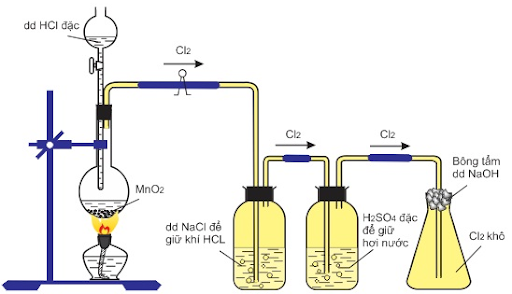 Đề cương ôn tập Hóa học 10 (Chương 5: Nhóm Halogen)